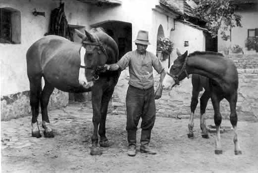 Alois Oswald mit Pferden